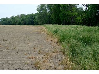 Property photo 43 - FARM & LAND AUCTION - 125+/- ACRES OFFERED IN 5 TRACTS IN EAST ALLEN COUNTY, INDIANA
